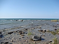 Western Michigan [2010] 784